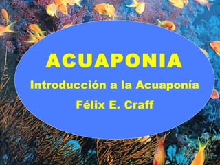 ACUAPONIA Introducción a la Acuaponía Félix E. Craff 