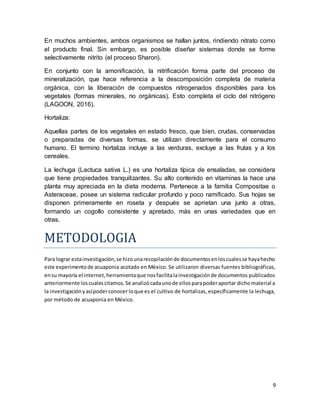 9
En muchos ambientes, ambos organismos se hallan juntos, rindiendo nitrato como
el producto final. Sin embargo, es posible diseñar sistemas donde se forme
selectivamente nitrito (el proceso Sharon).
En conjunto con la amonificación, la nitrificación forma parte del proceso de
mineralización, que hace referencia a la descomposición completa de materia
orgánica, con la liberación de compuestos nitrogenados disponibles para los
vegetales (formas minerales, no orgánicas). Esto completa el ciclo del nitrógeno
(LAGOON, 2016).
Hortaliza:
Aquellas partes de los vegetales en estado fresco, que bien, crudas, conservadas
o preparadas de diversas formas, se utilizan directamente para el consumo
humano. El termino hortaliza incluye a las verduras, excluye a las frutas y a los
cereales.
La lechuga (Lactuca sativa L.) es una hortaliza típica de ensaladas, se considera
que tiene propiedades tranquilizantes. Su alto contenido en vitaminas la hace una
planta muy apreciada en la dieta moderna. Pertenece a la familia Compositae o
Asteraceae, posee un sistema radicular profundo y poco ramificado. Sus hojas se
disponen primeramente en roseta y después se aprietan una junto a otras,
formando un cogollo consistente y apretado, más en unas variedades que en
otras.
METODOLOGÍA
Para lograr estainvestigación,se hizounarecopilaciónde documentosenloscualesse hayahecho
este experimentode acuaponia acotado en México. Se utilizaron diversas fuentes bibliográficas,
ensu mayoría el internet,herramientaque nosfacilitalainvestigaciónde documentos publicados
anteriormente loscualescitamos.Se analizócadaunode ellosparapoderaportar dichomaterial a
la investigaciónyasípoderconocer loque es el cultivo de hortalizas, específicamente la lechuga,
por método de acuaponia en México.
 