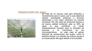 PRESERVACIÓN DEL AGUA
Se trata de un recurso vital para alimentos y
normalmente para la salud, por lo qué debemos
realizar actividades prácticas y técnicas
destinadas a una mejor utilización de manera
consiente. Por otro lado los productos frescos o
de buena calidad contienen asta un 95% de
agua, lo que constituye un medio
suficientemente húmedo para la actividad de
enzimas y el crecimiento de los
microorganismos, en este caso el aplicar
técnicas de conservación del sueño, como la
siembra directa y la rotación de cultivos ayuda a
la conservación del agua debido a la humedad.
 