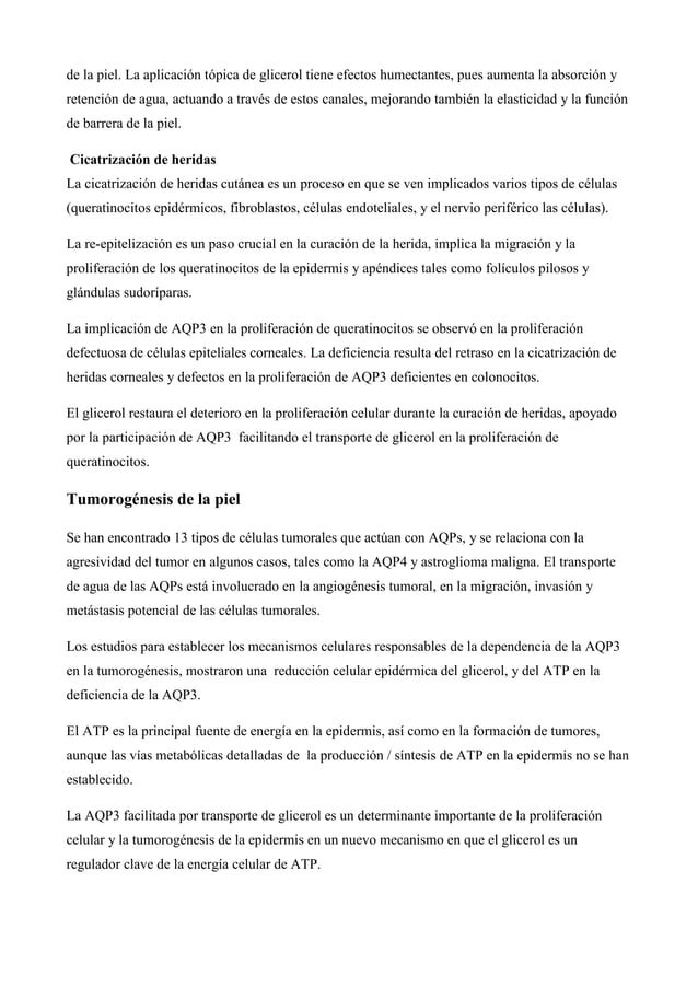 Acuaporina 3 en la epidermis PDF