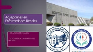 Acuaporinas en
Enfermedades Renales
DR. ARTURO REYES MARIN.
R1 NEFROLOGIA : JANET MARTINEZ
SANTIAGO
 