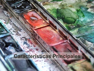 Características Principales
 