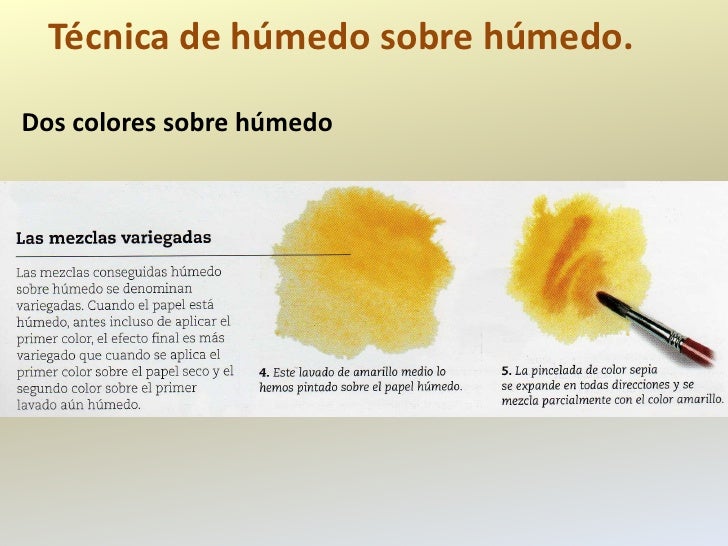 Técnica de húmedo sobre húmedo.Dos colores sobre húmedo 