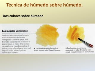 Técnica de húmedo sobre húmedo.

Dos colores sobre húmedo
 