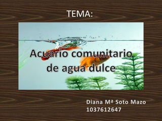 TEMA: Acuario comunitario de agua dulce Diana Mª Soto Mazo 1037612647 