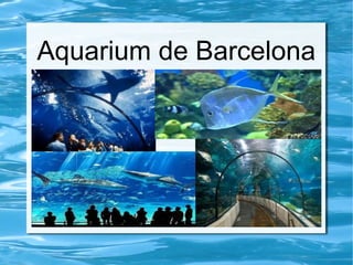 Aquarium de Barcelona
 