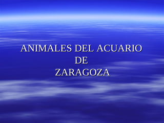 ANIMALES DEL ACUARIOANIMALES DEL ACUARIO
DEDE
ZARAGOZAZARAGOZA
 
