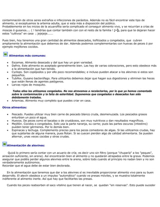 contaminación de otros seres extraños e infecciones de parásitos. Además no es fácil encontrar este tipo de
alimento, si exceptuamos la artemia adulta, que si esta más a disposición del público.
Probablemente en los inicios de la acuarofília sería complicado el conseguir alimento viv
moscas ó gusanos.... ( ! tendrías que contar también con con el resto de la familia ! ;-), para que te dejaran hacer
estos "cultivos" en casa ; jejejeje......
o, y se recurrían a crías de
Pues bien, hoy tenemos una gran cantidad de alimentos desecados, liofilizados y congelados, que cubren
s ó porampliamente la alimentación que debemos de dar. Además podemos complementarlas con huevas de pece
ejemplo mejillones cocidos.
Alimentos más comunes:
• Escamas. Alimento desecado y del que hay un gran variedad.
de varias coloraciones, pero esto obedece más
• co recomendables; e incluso pueden atacar a los alevines si estos son
• ano bacterófago. Para utilizarlos debemos dejar que hagan sus digestiones y eliminen las heces
•
los utilizamos congelados. No nos atrevemos a recolectarlos, por lo que ya hemos comentado
• completo que puedes criar en casa.
Otros alimentos:
• Pescado. Puedes utilizar muy bien carne de pescado blanco cruda, desmenuzada. Los pescados grasos
• calao o de crustáceos, son muy nutritivos y dan resultados magníficos.
)
• ra los peces comedores de algas. Si las utilizamos crudas, hay
• Dafnis. Este alimento es aceptado generalmente bien. Las hay
a la alimentación que han tenido.
Cyclops. Son copépodos y por ello po
pequeños.
Tubifex. Gus
que están llenas de agentes patógenos.
Larvas rojas de mosquito.
Todos ellos
sobre la contaminación y la falta de esterilidad. Suponemos que congelados o desecados han sido
debidamente tratados.
Artemias. Alimento muy
enturbian un poco el agua.
Huevos. De peces como el ba
• Mejillón. Cocidos o congelados. Solo usa la parte naranja, su carne; pues las partes oscuras (intestino
pueden tener gérmenes. Por lo demás bien.
Espinacas y lechuga. Complemento preciso pa
que sujetarlas de alguna manera, pues flotan. Si se cuecen pierden algo de calidad alimentaria. Se pueden
alternar, unas veces cocidas y otras crudas.
Alimentación de alevines:
Quizá lo primero sería contar con un acuario de cría; es decir uno sin filtro (porque "chuparía" a los "peques",
estar bien declorada.
En la alimentación que tenemos que dar a los alevines sí es inevitable proporcionar alimento vivo para su buen
uando los peces reabsorben el saco vitelino que tienen al nacer, se quedan "sin reservas". Esto puede suceder
aireación suficiente, sin arena). Así encontrarán bien el alimento y no quedarán atrapados entre la grava. Podemos
asegurar que podéis perder algunos alevines entre la arena, sobre todo cuando al principio no nadan bien y no son
verdaderamente autónomos.
Recordar que el agua debe de
desarrollo. El alevín obedece a un impulso "automático" cuando ve presas móviles, y se muestra totalmente
indiferente al alimento inerte. Así que hay que facilitarles las presas.
C
 