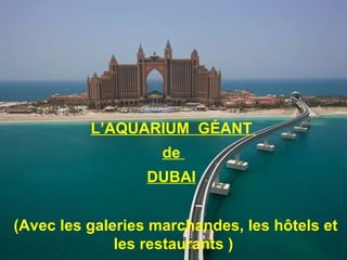 L’AQUARIUM G ÉANT de DUBAI (Avec les galeries marchandes, les hôtels et les restaurants )