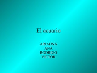 El acuario ARIADNA ANA RODRIGO VICTOR 