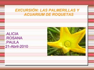 EXCURSIÓN: LAS PALMERILLAS Y ACUARIUM DE ROQUETAS .ALICIA .ROSANA  .PAULA 21-Abril-2010 