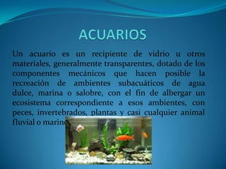 Un acuario es un recipiente de vidrio u otros
materiales, generalmente transparentes, dotado de los
componentes mecánicos que hacen posible la
recreación de ambientes subacuáticos de agua
dulce, marina o salobre, con el fin de albergar un
ecosistema correspondiente a esos ambientes, con
peces, invertebrados, plantas y casi cualquier animal
fluvial o marino.

 