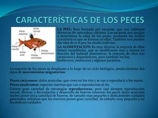 LA PIEL: Esta formada por escamas, que son cubiertas
dérmicas de naturaleza calcárea. Las escamas nos ayudan
a determinar la edad de los peces, mediante los anillos
concéntricos que se forman en ellas. También nos pueden
dar idea de si el pez ha estado enfermo.
LA ALIMENTACION: Es muy diversa, la mayoría de ellos
tienen mandíbulas, que se modificaran mas o menos en
función del habitad alimenticio. la mayoría de ellos son
carnívoros y depredadores, pero también los hay
herbívoros, omnívoros y algunos parásitos.
La mayoría de los peces se desplazan a lo largo de su ciclo biológico, produciéndose dos
tipos de movimientos migratorios:
Peces catáramos: dulce acuícolas, que viven en los ríos y se van o reproducir a los mares.
Peces anádromos: especies marinas que van a reproducirse al rio.
Existen gran variedad de estrategias reproductoras, pero casi siempre reproducción
sexual, dioicos, y fecundación y desarrollo de huevos externos. los peces dulce acuícolas
suelen poner poca cantidad de huevos, de tamaño mas pequeño y dedicándoles cuidados
parentales, mientras que los marinos ponen gran cantidad, de tamaño muy pequeño y no
les dedican cuidados.

 