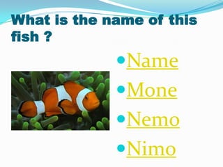 What is the name of this
fish ?
Name
Mone
Nemo
Nimo