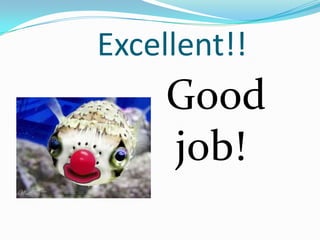 Excellent!!
Good
job!