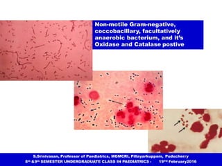 acubacterialmeningitis18feb-160314072922-converted.pptx
