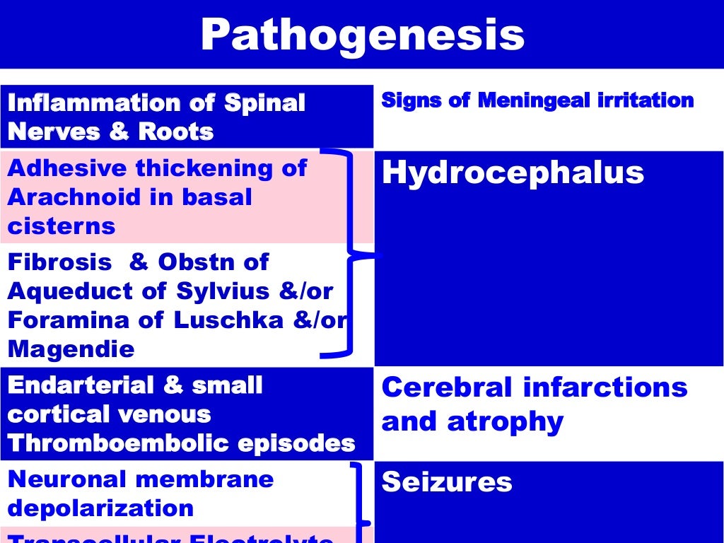 Acute bacterial (Pyogenic) meningitis Dr. S. Srinivasan, Professor…