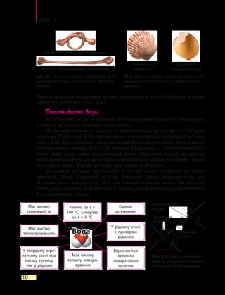 Тема 1
10
Різні структури організмів тварин здебільшого теж побудовані з не­ор­
ганіч­них речовин (мал. 2.2).
Властивості води
Властивості води зумовлені особливостями будови її молекули,
а  також зв’язком молекул між собою.
Як ви вже знаєте, у молекулі води (хімічна формула — H2
O) між
атомами Гідрогену й Оксигену існує ковалентний полярний зв’язок
(мал. 2.3). Це зумовлює появу на атомі Оксигену певного негативного
електричного заряду (δ–
), а на атомах Гідрогену — позитивного (δ+
).
Саме тому позитивно заряджений атом Гідрогену однієї молекули
води притягується до негативно зарядженого атома Оксигену іншої
молекули води. Такий зв’язок має назву водневого.
Водневий зв’язок приблизно у 15–20 разів слабший за кова-
лентний. Тому водневий зв’язок відносно легко розривається, що
відбувається, наприклад, під час випаровування води. За рідкого
стану води водневі зв’язки між її молекулами постійно розриваються
й  утворюються знову.
Мал. 2.1. Кістку людини, позбавлену міне-
ральних речовин, легко можна зав’язати
вузлом
Мал. 2.2. Структури живих організмів, які
складаються переважно з неорганічних
речовин
Кістка з мінеральними речовинами
Кістка без мінеральних речовин
Черепашка
молюска
Шкаралупа
пташиного яйця
Має велику
теплоємність
Кипить за t =
100  °С, замерзає
за t = 0  °С
Має високу
теплоту випаро-
вування
Гарний
розчинник
У рідкому стані
є прозорою
рідиною
У твердому агре-
гатному стані має
меншу густину,
ніж у рідкому
Має високу
теплопровідність
Відзначається
великим
поверхневим
натягом
Вода
Мал. 2.3. Будова молекули
води та утворення водневих
зв’язків між її молекулами
δ+
δ+
δ–
δ+
δ+
δ–
Молекула
води
Ковалентний
зв’язок
Водневий
зв’язок
 