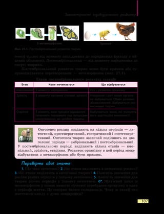 Закономірності індивідуального  розвитку
107
генез) триває від моменту запліднення до народження (виходу з  яй-
цевих оболонок). Постембріональний — від моменту народження до
смерті тварини.
Постембріональний розвиток тварин може бути прямим або су-
проводжуватися перетворенням — метаморфозом (мал. 27.1).
Етапи постембріонального розвитку ссавців
Етап Коли починається Що відбувається
Ювенільний З моменту народження Ріст і розвиток організму
Зрілість З моменту настання статевої зрілості Утворення і  ріст нових органів
не відбувається. Обмін речовин
збалансований. Відбувається роз-
множення тварин
Старіння З моменту, коли процеси відмирання
починають переважати над процесами
новоутворення, до  загибелі тварини
Відбуваються зміни, які знижують
його адаптаційні можливості
Онтогенез рослин поділяють на кілька періодів — ла-
тентний, прегенеративний, генеративний і постгенера-
тивний. Онтогенез тварин зазвичай поділяють на два
головні періоди — ембріональний і постембріональний.
У постембріональному періоді виділяють кілька етапів — юве-
нільний, зрілість, старіння. Розвиток організму в цей період може
відбуватися з метаморфозом або бути прямим.
Перевірте свої знання
1. Що таке онтогенез? 2. Які етапи виділяють в онтогенезі рослин?
3. Які етапи виділяють в онтогенезі тварин? 4. Поясніть значення для
рослин різних періодів у їхньому онтогенезі. 5. Поясніть значення для
тварин різних періодів у їхньому онтогенезі. 6*. Життєвий цикл із
метаморфозом у комах вимагає суттєвої перебудови організму в один
з періодів життя. Це створює багато складнощів. Чому ж такий тип
життєвого циклу є дуже поширеним?
Мал. 27.1. Постембріональний розвиток тварин
З метаморфозом Прямий
 