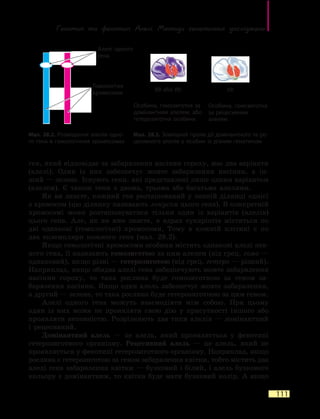 Генотип та фенотип. Алелі. Методи  генетичних досліджень
111
ген, який відповідає за забарвлення насінин гороху, має два варіанти
(алелі). Один із них забезпечує жовте забарвлення насінин, а  ін-
ший — зелене. Існують гени, які представлені лише одним варіантом
(алелем). Є також гени з двома, трьома або багатьма алелями.
Як ви знаєте, кожний ген розташований у певній ділянці однієї
з хромосом (цю ділянку називають локусом цього гена). В конкретній
хромосомі може розташовуватися тільки один із варіантів (алелів)
цього гена. Але, як ви вже знаєте, в ядрах еукаріотів містяться по
дві однакові (гомологічні) хромосоми. Тому в кожній клітині є по
два екземпляри кожного гена (мал. 28.2).
Якщо гомологічні хромосоми особини містять однакові алелі пев-
ного гена, її називають гомозиготою за цим алелем (від грец. гомо —
однаковий), якщо різні — гетерозиготою (від грец. гетеро — різний).
Наприклад, якщо обидва алелі гена забезпечують жовте забарвлення
насінин гороху, то така рослина буде гомозиготною за геном за-
барвлення насінин. Якщо один алель забезпечує жовте забарвлення,
а другий — зелене, то така рослина буде гетерозиготною за цим геном.
Алелі одного гена можуть взаємодіяти між собою. При цьому
один із них може не проявляти свою дію у присутності іншого або
проявляти неповністю. Розрізняють два типи алелів — домінантний
і  рецесивний.
Домінантний алель — це алель, який проявляється у фенотипі
гетерозиготного організму. Рецесивний алель — це алель, який не
проявляється у фенотипі гетерозиготного організму. Наприклад, якщо
рослина є гетерозиготою за геном забарвлення квітки, тобто містить два
алелі гена забарвлення квітки — бузковий і білий, і алель бузкового
кольору є домінантним, то квітка буде мати бузковий колір. А якщо
Мал. 28.2. Розміщення алелів одно-
го гена в гомологічних хромосомах
Алелі одного
гена
Мал. 28.3. Зовнішній прояв дії домінантного та ре­
цесивного алелів у особин із різним генотипом
Гомологічні
хромосоми
Особина, гомозиготна за
домінантним алелем, або
гетерозиготна особина
Особина, гомозиготна
за рецесивним
алелем
BB або Bb bb
 