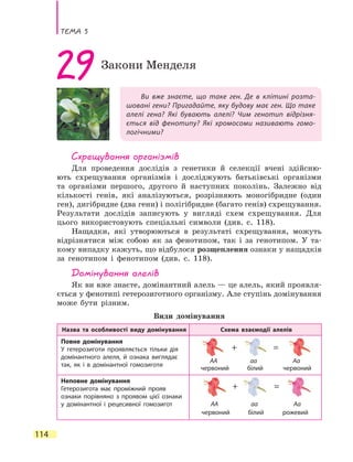 Тема 5
114
Ви вже знаєте, що таке ген. Де в клітині розта-
шовані гени? Пригадайте, яку будову має ген. Що таке
алелі гена? Які бувають алелі? Чим генотип відрізня-
ється від фенотипу? Які хромосоми називають гомо-
логічними?
29Закони Менделя
Схрещування організмів
Для проведення дослідів з генетики й селекції вчені здійсню-
ють схрещування організмів і досліджують батьківські організми
та організми першого, другого й наступних поколінь. Залежно від
кількості генів, які аналізуються, розрізняють моногібридне (один
ген), дигібридне (два гени) і полігібридне (багато генів) схрещування.
Результати дослідів записують у вигляді схем схрещування. Для
цього використовують спеціальні символи (див. с. 118).
Нащадки, які утворюються в результаті схрещування, можуть
відрізнятися між собою як за фенотипом, так і за генотипом. У та-
кому випадку кажуть, що відбулося розщеплення ознаки у нащадків
за генотипом і фенотипом (див. с. 118).
Домінування алелів
Як ви вже знаєте, домінантний алель — це алель, який проявля-
ється у фенотипі гетерозиготного організму. Але ступінь домінування
може бути різним.
Види домінування
Назва та особливості виду домінування Схема взаємодії алелів
Повне домінування
У гетерозиготи проявляється тільки дія
домінантного алеля, й ознака виглядає
так, як і в домінантної гомозиготи
Неповне домінування
Гетерозигота має проміжний прояв
ознаки порівняно з проявом цієї ознаки
у домінантної і рецесивної гомозигот
AA
+ =
aa Aa
червоний білий червоний
AA
+ =
aa Aa
червоний білий рожевий
 