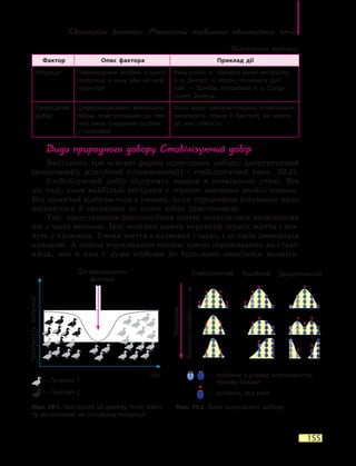 Еволюційні фактори. Механізми первинних еволюційних змін
155
Фактор Опис фактора Приклад дії
Міграція Переміщення особин з однієї
популяції в іншу або на нові
території
Риба-голка із Чорного моря мігрувала
в р. Дніпро, а звідти по каналу Дні-
про  —  Донбас потрапила в р. Сівер-
ський Донець
Природний
добір
Диференційоване виживання
більш пристосованих до пев-
них умов існування особин
у  популяції
Коли хворі використовують антибіотики,
виживають тільки ті бактерії, які мають
до них стійкість
Види природного добору. Стабілізуючий добір
Виділяють три основні форми природного добору: дизруптивний
(розривний), рушійний (спрямований) і стабілізуючий (мал. 39.2).
Стабілізуючий добір підтримує ознаки в незмінному стані. Він
діє тоді, коли найбільш вигідним є середнє значення якоїсь ознаки.
Він зазвичай відбувається в умовах, коли середовище існування мало
змінюється й організми до нього добре пристосовані.
Так, представники ракоподібних щитні залишилися незмінними
ще з часів мезозою. Їхні особини мають короткий термін життя і жи-
вуть у калюжах. Умови життя в калюжах і зараз, і за часів динозаврів
однакові. А період пересихання калюж щитні переживають на стадії
яйця, яке в них є дуже стійким до будь-яких зовнішніх впливів.
Мал. 39.1. Ілюстрація дії дрейфу генів (ефек­
ту засновника) на генофонд популяції
Мал. 39.2. Види природного добору
— Генотип 2
Стабілізуючий Рушійний Дизруптивний
— Генотип 1
— особини з різною інтенсивністю
прояву ознаки
— особина, яка гине
Час
Чисельністьпопуляції
Покоління
Кількістьособин
Дія випадкового
фактора
Закінчення таблиці
 
