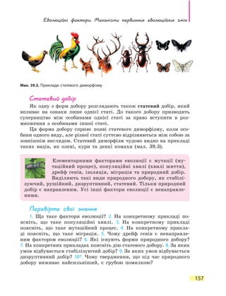 Еволюційні фактори. Механізми первинних еволюційних змін
157
Статевий добір
Як одну з форм добору розглядають також статевий добір, який
впливає на ознаки лише однієї статі. До такого добору призводить
суперництво між особинами однієї статі за право вступити в роз-
множення з особинами іншої статі.
Ця форма добору сприяє появі статевого диморфізму, коли осо-
бини одного виду, але різної статі суттєво відрізняються між собою за
зовнішнім виглядом. Статевий диморфізм чудово видно на прикладі
таких видів, як олені, кури та деякі комахи (мал. 39.3).
Елементарними факторами еволюції є мутації (му-
таційний процес), популяційні хвилі (хвилі життя),
дрейф генів, ізоляція, міграція та природний добір.
Виділяють такі види природного добору, як стабілі-
зуючий, рушійний, дизруптивний, статевий. Тільки природний
добір є направленим. Усі інші фактори еволюції є ненаправле-
ними.
Перевірте свої знання
1. Що таке фактори еволюції? 2. На конкретному прикладі по-
ясніть, що таке популяційні хвилі. 3. На конкретному прикладі
поясніть, що таке мутаційний процес. 4. На конкретному прикла-
ді поясніть, що таке міграція. 5. Чому дрейф генів є ненаправле-
ним фактором еволюції? 6. Які існують форми природного добору?
7. На конкретних прикладах поясніть дію статевого добору. 8. За яких
умов відбувається стабілізуючий добір? 9. За яких умов відбувається
дизруптивний добір? 10*. Чому твердження, що під час природного
добору виживає найсильніший, є грубою помилкою?
Мал. 39.3. Приклади статевого диморфізму
 