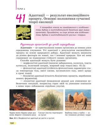 Тема 6
160
У попередніх класах ви ознайомилися з особливос-
тями будови й життєдіяльності багатьох груп живих
організмів. Пригадайте, чи існує зв’язок між особливос-
тями будови й життєдіяльності рослин і тварин.
41Адаптації — результат еволюційного
процесу. Основні положення сучасної
теорії еволюції
Адаптація організмів до умов середовища
Адаптація — це пристосування живих організмів до певних умов
середовища існування. Усі адаптації є результатом еволюційного
процесу на основі природного добору. Адаптації можуть виникати
до різних факторів як живої, так і неживої природи. Але всі вони
спрямовані на підвищення стійкості живих організмів.
Способи адаптацій можуть бути різними:
— морфологічні адаптації (захисне забарвлення, колючки, товста
кутикула, волосяний покрив, жировий шар тощо) (мал. 41.1);
— фізіологічні адаптації (стійкість фізіологічних параметрів: ста-
ла температура тіла, вміст кисню, вуглекислого газу, вміст цукру
в  крові тощо);
— біохімічні адаптації (сталість біохімічних процесів, вироблення
певних ферментів);
— етологічні адаптації (поведінкові реакції для уникнення не-
безпечних ситуацій, наприклад страх змій та уникання контактів
з  ними через побоювання отруйних укусів).
Мал. 41.1. Морфологічні адаптації до життя в пустелі
Ящірка молох (будова шкіри доз­
воляє збирати і споживати росу)
Саксаул (листки перетворені
на луски)
Верблюд (жир у горбах — за-
пас поживних речовин і води)
 