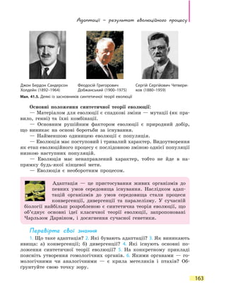 Адаптації — результат еволюційного процесу
163
Основні положення синтетичної теорії еволюції:
— Матеріалом для еволюції є спадкові зміни — мутації (як пра-
вило, генні) та їхні комбінації.
— Основним рушійним фактором еволюції є природний добір,
що виникає на основі боротьби за існування.
— Найменшою одиницею еволюції є популяція.
— Еволюція має поступовий і тривалий характер. Видоутворення
як етап еволюційного процесу є послідовною зміною однієї популяції
низкою наступних популяцій.
— Еволюція має ненаправлений характер, тобто не йде в на-
прямку будь-якої кінцевої мети.
— Еволюція є необоротним процесом.
Адаптація — це пристосування живих організмів до
певних умов середовища існування. Наслідком адап-
тацій організмів до умов середовища стали процеси
конвергенції, дивергенції та паралелізму. У сучасній
біології найбільш розробленою є синтетична теорія еволюції, що
об’єднує основні ідеї класичної теорії еволюції, запропоновані
Чарльзом Дарвіном, і досягнення сучасної генетики.
Перевірте свої знання
1. Що таке адаптація? 2. Які бувають адаптації? 3. Як виникають
явища: а) конвергенції; б) дивергенції? 4. Які існують основні по-
ложення синтетичної теорії еволюції? 5. На конкретному прикладі
поясніть утворення гомологічних органів. 6. Якими органами — го-
мологічними чи аналогічними — є крила метеликів і птахів? Об-
ґрунтуйте свою точку зору.
Джон Бердон Сандерсон
Холдейн (1892–1964)
Феодосій Григорович
Добжанський (1900–1975)
Сергій Сергійович Четвери-
ков (1880–1959)
Мал. 41.5. Деякі із засновників синтетичної теорії еволюції
 