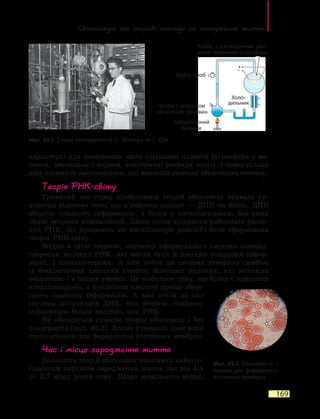 Світоглядні та наукові погляди на  походження життя
169
характерні для початкових часів існування планети (атмосфера з  ме-
таном, амоніаком і воднем, електричні розряди тощо). І через кілька
днів отримали амінокислоти, які виникли шляхом абіогенного синтезу.
Теорія РНК-світу
Тривалий час серед прибічників теорій абіогенезу тривала су-
перечка відносно того, що з’явилося раніше — ДНК чи білок. ДНК
зберігає спадкову інформацію, а білки є каталізаторами, без яких
обмін речовин неможливий. Лише після відкриття рибозимів (моле-
кул РНК, що працюють як каталізатори реакцій) була сформована
теорія РНК-світу.
Згідно з цією теорією, спочатку сформувалася система самовід-
творення молекул РНК, які могли бути й носіями спадкової інфор-
мації, і каталізаторами. А вже потім ця система утворила симбіоз
із біохімічними циклами синтезу білкових молекул, які виникли
незалежно і в інших умовах. Це відбулося тому, що білки є кращими
каталізаторами, а нуклеїнові кислоти краще збері-
гають спадкову інформацію. А вже потім до цієї
системи долучилася ДНК, яка зберігає спадкову
інформацію більш надійно, ніж РНК.
Не обходиться сучасна теорія абіогенезу і без
коацерватів (мал. 43.2). Згідно з теорією, саме вони
стали основою для формування клітинних мембран.
Час і місце зародження життя
Більшість теорій абіогенезу вважають найвіро-
гіднішим періодом зародження життя час від 4,1
до 3,7 млрд років тому. Щодо можливого місця,
Мал. 43.1. Схема експерименту С. Міллера та Г. Юрі
Відбір проб
Холо-
дильник
Колба з розчином
органічних речовин
Колба з відтвореними умо-
вами первинної атмосфери
Лабораторний
пальник
Мал. 43.2. Коацервати —
основа для формування
клітинних мембран
 