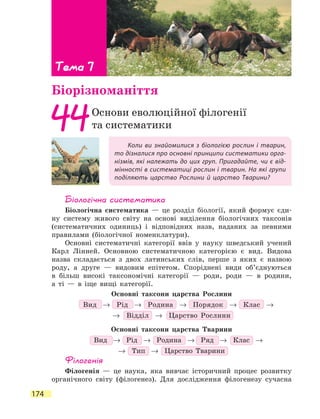 174
Коли ви знайомилися з біологією рослин і тварин,
то дізналися про основні принципи систематики орга-
нізмів, які належать до цих груп. Пригадайте, чи є від-
мінності в систематиці рослин і тварин. На які групи
поділяють царство Рослини й царство Тварини?
44Основи еволюційної філогенії
та систематики
Тема 7
Біорізноманіття
Біологічна систематика
Біологічна систематика — це розділ біології, який формує єди-
ну систему живого світу на основі виділення біологічних таксонів
(систематичних одиниць) і відповідних назв, наданих за певними
правилами (біологічної номенклатури).
Основні систематичні категорії ввів у науку шведський учений
Карл Лінней. Основною систематичною категорією є вид. Видова
назва складається з двох латинських слів, перше з яких є назвою
роду, а друге — видовим епітетом. Споріднені види об’єднуються
в  більш високі таксономічні категорії — роди, роди — в родини,
а  ті — в іще вищі категорії.
Основні таксони царства Рослини
Вид → Рід → Родина → Порядок → Клас →
→ Відділ → Царство Рослини
Основні таксони царства Тварини
Вид → Рід → Родина → Ряд → Клас →
→ Тип → Царство Тварини
Філогенія
Філогенія — це наука, яка вивчає історичний процес розвитку
органічного світу (філогенез). Для дослідження філогенезу сучасна
 