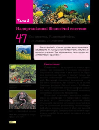 182
Ви вже знайомі з різними групами живих організмів.
Пригадайте, як живі організми отримують потрібні їм
органічні речовини. Чим відрізняються автотрофні та
гетеротрофні організми?
47Екосистема. Різноманітність
природних екосистем
Екосистеми
Екосистема — це сукупність живих орга-
нізмів, які мешкають у певному середовищі
існування й утворюють з ним одне ціле. Будь-
яка екосистема містить у своєму складі два
головні компоненти — біотичний і абіотич-
ний. Біотичний компонент екосистеми — це
всі живі організми, які входять до її складу
(тварини, рослини, бактерії тощо). А абіотич-
ний — це компоненти неживої природи (камін-
ня, вода, повітря тощо). Біотичний компонент
екосистеми називають біоценозом.
Біотичний компонент екосистем поділя-
ється на автотрофні та гетеротрофні організ-
ми (мал. 47.1). Автотрофні організми здатні
утворювати органічні речовини з неорганічних
або за допомогою фотосинтезу (фотоавтотро-
фи), або за допомогою енергії хімічних реакцій
(хемоавтотрофи). Гетеротрофні організми отри-
мують потрібні їм органічні речовини з інших
організмів.
Тема 8
Надорганізмові біологічні системи
Кріт — гетеротрофний організм
Мал. 47.1. Автотрофні й гетеро-
трофні організми
Полуниця — автотрофний
організм
 