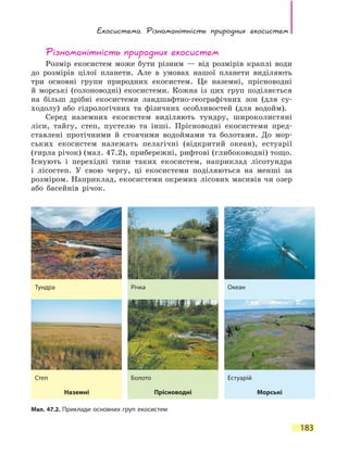 Екосистема. Різноманітність природних екосистем
183
Різноманітність природних екосистем
Розмір екосистем може бути різним — від розмірів краплі води
до розмірів цілої планети. Але в умовах нашої планети виділяють
три основні групи природних екосистем. Це наземні, прісноводні
й  морські (солоноводні) екосистеми. Кожна із цих груп поділяється
на більш дрібні екосистеми ландшафтно-географічних зон (для су-
ходолу) або гідрологічних та фізичних особливостей (для водойм).
Серед наземних екосистем виділяють тундру, широколистяні
ліси, тайгу, степ, пустелю та інші. Прісноводні екосистеми пред-
ставлені протічними й стоячими водоймами та болотами. До мор-
ських екосистем належать пелагічні (відкритий океан), естуарії
(гирла річок) (мал. 47.2), прибережні, рифтові (глибоководні) тощо.
Існують і перехідні типи таких екосистем, наприклад лісотундра
і  лісостеп. У свою чергу, ці екосистеми поділяються на менші за
розміром. Наприклад, екосистеми окремих лісових масивів чи озер
або басейнів річок.
Мал. 47.2. Приклади основних груп екосистем
Тундра
Степ
Наземні
Річка
Болото
Прісноводні
Океан
Естуарій
Морські
 