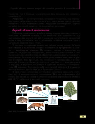 Харчові зв’язки, потоки енергії та колообіг речовин в екосистемах
187
тварини), так і іншими консументами (як хижаки, які поїдають
травоїдних).
Редуценти — це гетеротрофні організми екосистем, які отриму-
ють органічні речовини, живлячись рештками живих організмів або
продуктів їхньої життєдіяльності. Редуценти перетворюють мертву
органіку на прості органічні та неорганічні речовини.
Харчові зв’язки в екосистемах
Поїдаючи один одного, живі організми стають ланками харчових
ланцюгів. Харчовий ланцюг — це взаємини між організмами під
час перенесення енергії їжі від її джерела (автотрофного організму)
через низку організмів, що відбувається шляхом поїдання одних
організмів іншими (мал. 48.2).
У ланцюзі харчування кожен вид займає певну ланку. Зв’язки
між видами в харчовому ланцюзі називаються трофічними, а лан-
ки  — трофічними рівнями. На початку ланцюгів живлення, як
правило, перебувають продуценти, тобто автотрофні організми, які
продукують органічні речовини. Наступні ланки ланцюга становлять
консументи. Залежно від місця ланки розрізняють консументів різ-
них порядків. Так, травоїдні, які споживають продуцентів, є консу-
ментами І порядку. Хижаки, які їдять травоїдних, — консументами
ІІ порядку. А паразити, які живуть в організмі хижаків, — консумен-
тами ІІІ порядку. Редуценти руйнують мертві залишки й продукти
життєдіяльності організмів усіх трофічних рівнів.
В органічних речовинах автотрофні організми запасають енер-
гію, яку й використовують гетеротрофи. Під час перенесення цієї
енергії від ланки до ланки харчового ланцюга переважна її частина
(80–90  %) губиться у вигляді теплоти.
Мал. 48.2. Харчовий ланцюг
Рослина
Гриби-редуценти
МишаГадюка
Лисиця
Їжак
Гусінь
 
