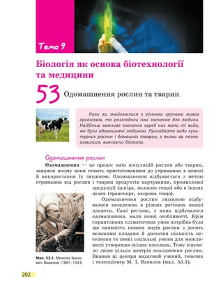 202
Коли ви знайомилися з різними групами живих
організмів, то розглядали їхнє значення для людини.
Найбільш важливе значення серед них мали ті види,
які були одомашнені людиною. Пригадайте види куль-
турних рослин і домашніх тварин, з якими ви позна-
йомилися, вивчаючи біологію.
53Одомашнення рослин та тварин
Одомашнення рослин
Одомашнення — це процес змін популяцій рослин або тварин,
завдяки якому вони стають пристосованими до утримання в неволі
й використання їх людиною. Одомашнення відбувається з метою
отримання від рослин і тварин продуктів харчування, промислової
продукції (шкіра, волокно тощо) або в інших
цілях (транспорт, охорона тощо).
Одомашнення рослин людиною відбу-
валося незалежно в різних регіонах нашої
планети. Самі регіони, у яких відбувалося
одомашнення, мали певні особливості. Крім
сприятливих кліматичних умов потрібна була
ще наявність певних видів рослин з досить
великими плодами й достатня кількість на-
селення та певні соціальні умови для можли-
вості утворення осілих поселень. Тому існува-
ло лише кілька центрів походження рослин.
Виявив ці центри видатний учений, генетик
і селекціонер М. І. Вавилов (мал. 53.1).
Тема 9
Біологія як основа біотехнології
та медицини
Мал. 53.1. Микола Івано-
вич Вавилов (1887–1943)
 