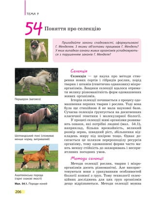 Тема 9
206
Пригадайте закони спадковості, сформульовані
Г.  Менделем. З якими об’єктами працював Г. Мендель?
У яких випадках ознаки живих організмів успадковують-
ся з порушенням законів Г. Менделя?
54Поняття про селекцію
Селекція
Селекція — це наука про методи ство-
рення нових сортів і гібридів рослин, порід
тварин і штамів (генетично однакових) мікро-
організмів. Завдяки селекції вдалося отрима-
ти велику різноманітність форм одомашнених
живих організмів.
Історія селекції починається з процесу одо­
машнення перших тварин і рослин. Тоді вона
була ще стихійною й не мала наукової бази.
Сучасна селекція ґрунтується на досягненнях
класичної генетики і молекулярної біології.
У процесі селекції живі організми розвива-
ють ознаки, які потрібні людині (мал.  54.1),
наприклад, більша врожайність, великий
розмір зерна, швидкий ріст, збільшення від-
кладень жиру під шкірою тощо. Однак до-
сягається це шляхом перерозподілу ресурсів
організму, тому одомашнені форми часто ма-
ють меншу стійкість до захворювань і неспри-
ятливих погодних умов.
Методи селекції
Методи селекції рослин, тварин і мікро-
організмів досить різноманітні. Але викорис-
товуються вони з урахуванням особливостей
біології кожної з груп. Тому технології селек-
ційних досліджень для цих груп організмів
дещо відрізняються. Методи селекції можнаМал. 54.1. Породи коней
Ахалтекінська порода
(гарні скакові якості)
Шотландський поні (споживає
менше корму, витривалий)
Першерон (ваговоз)
 