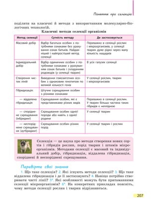 Поняття про селекцію
207
поділити на класичні й методи з використанням молекулярно-біо-
логічних технологій.
Класичні методи селекції організмів
Метод селекції Сутність методу Де застосовується
Масовий добір Відбір багатьох особин з по-
трібними ознаками без ураху-
вання ознак батьків. Найдав-
ніший і найпростіший метод
селекції
Переважно в селекції рослин
і мікроорганізмів, у селекції
тварин дуже рідко через малу
кількість нащадків
Індивідуальний
добір
Відбір одиничних особин з по-
трібними ознаками з урахуван-
ням ознак батьків і складанням
родоводів (у селекції тварин)
В усіх галузях селекції
Створення чис-
тих ліній
Виведення гомозиготних осо-
бин з однаковим генотипом по
великій кількості генів
У селекції рослин, тварин
і  мікроорганізмів
Гібридизація: Штучне схрещування особин
з  різними ознаками
— віддалена
гібридизація
Схрещування особин, які є
представниками різних видів
Переважно в селекції рослин.
У тварин більша частина таких
гібридів є неплідною
— спорідне-
не схрещування
(інбридинг)
Схрещування особин однієї
породи або навіть з однієї
родини
У селекції тварин
— неспорід-
нене схрещуван-
ня (аутбридинг)
Схрещування особин різних
порід
У селекції тварин і рослин
Селекція — це наука про методи створення нових сор-
тів і гібридів рослин, порід тварин і штамів мікро-
організмів. Методами селекції є масовий та індивіду-
альний добір, гібридизація, віддалена гібридизація,
споріднені й неспоріднені схрещування.
Перевірте свої знання
1. Що таке селекція? 2. Які існують методи селекції? 3. Що таке
віддалена гібридизація і де її застосовують? 4. Навіщо потрібно ство-
рювати чисті лінії? 5*. Які особливості можуть бути притаманними
селекції мікроорганізмів? 6*. На конкретних прикладах поясніть,
чому методи селекції рослин і тварин відрізняються.
 