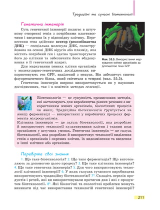 Традиційні та сучасні біотехнології
211
Генетична інженерія
Суть генетичної інженерії полягає в штуч-
ному створенні генів з  потрібними властивос-
тями і введення їх у відповідну клітину. Пере-
несення гена здійснює вектор (рекомбінантна
ДНК) — спеціальна молекула ДНК, сконстру-
йована на основі ДНК вірусів або плазмід, яка
містить потрібний ген і здатна транспортувати
його до клітини та забезпечити його вбудову-
вання в її генетичний апарат.
Для маркування певних клітин організмів
у молекулярно-генетичних дослідженнях ви-
користовують ген GFP, виділений з медузи. Він забезпечує синтез
флуоресцентного білка, який світиться в темряві (мал. 55.5).
Генетична інженерія широко використовується як у наукових
дослідженнях, так і  в  новітніх методах селекції.
Біотехнологія — це сукупність промислових методів,
які застосовують для виробництва різних речовин з ви-
користанням живих організмів, біологічних процесів
чи явищ. Традиційна біотехнологія ґрунтується на
явищі ферментації — використанні у виробничих процесах фер-
ментів мікроорганізмів.
Клітинна інженерія — це галузь біотехнології, яка розробляє
й використовує технології культивування клітин і тканин поза
організмом у штучних умовах. Генетична інженерія — це галузь
біотехнології, яка розробляє й використовує технології виділення
генів з організмів і окремих клітин, їх видозмінення та введення
в інші клітини або організми.
Перевірте свої знання
1. Що таке біотехнологія? 2. Що таке ферментація? Що виготов-
ляють за допомогою цього процесу? 3. Що таке клітинна інженерія?
4. Що таке генетична інженерія? 5. Для чого використовують техно-
логії клітинної інженерії? 6. У яких галузях сучасного виробництва
використовують традиційну біотехнологію? 7*. Складіть перелік про-
дуктів і речей, які ви використовували протягом дня і які є продук-
том біотехнології. 8*. Які біологічні та екологічні проблеми можуть
виникати під час використання технологій генетичної інженерії?
Мал. 55.5. Використання мар-
кування клітин організмів за
допомогою гена GFP
 