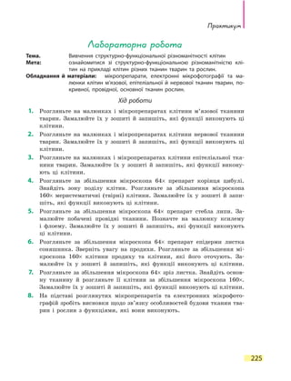 Практикум
225
Лабораторна робота
Тема.	 Вивчення структурно-функціональної різноманітності клітин
Мета:	 ознайомитися зі структурно-функціональною різноманітністю клі-
тин на прикладі клітин різних тканин тварин та рослин.
Обладнання й матеріали:	 мікропрепарати, електронні мікрофотографії та ма-
люнки клітин м’язової, епітеліальної й нервової тканин тварин, по-
кривної, провідної, основної тканин рослин.
Хід роботи
	1.	 Розгляньте на малюнках і мікропрепаратах клітини м’язової тканини
тварин. Замалюйте їх у зошиті й запишіть, які функції виконують ці
клітини.
	2.	 Розгляньте на малюнках і мікропрепаратах клітини нервової тканини
тварин. Замалюйте їх у зошиті й запишіть, які функції виконують ці
клітини.
	3.	 Розгляньте на малюнках і мікропрепаратах клітини епітеліальної тка-
нини тварин. Замалюйте їх у зошиті й запишіть, які функції викону-
ють ці клітини.
	4.	 Розгляньте за збільшення мікроскопа 64× препарат корінця цибулі.
Знайдіть зону поділу клітин. Розгляньте за збільшення мікроскопа
160× меристематичні (твірні) клітини. Замалюйте їх у  зошиті й запи-
шіть, які функції виконують ці клітини.
	5.	 Розгляньте за збільшення мікроскопа 64× препарат стебла липи. За-
малюйте побачені провідні тканини. Позначте на малюнку ксилему
і  флоему. Замалюйте їх у зошиті й запишіть, які функції виконують
ці клітини.
	6.	 Розгляньте за збільшення мікроскопа 64× препарат епідерми листка
соняшника. Зверніть увагу на продихи. Розгляньте за збільшення мі-
кроскопа 160× клітини продиху та клітини, які його оточують. За-
малюйте їх у зошиті й запишіть, які функції виконують ці клітини.
	7.	 Розгляньте за збільшення мікроскопа 64× зріз листка. Знайдіть основ­
ну тканину й розгляньте її клітини за збільшення мікроскопа 160×.
Замалюйте їх у зошиті й запишіть, які функції виконують ці клітини.
	8.	 На підставі розглянутих мікропрепаратів та електронних мікрофото-
графій зробіть висновки щодо зв’язку особливостей будови тканин тва-
рин і рослин з функціями, які вони виконують.
 