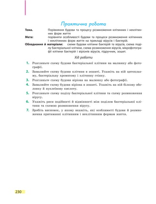230
Практична робота
Тема.	 Порівняння будови та процесу розмноження клітинних і неклітин-
них форм життя
Мета:	 порівняти особливості будови та процеси розмноження клітинних
і неклітинних форм життя на прикладі вірусів і бактерій.
Обладнання й матеріали:	 схеми будови клітини бактерій та вірусів, схема поді-
лу бактеріальної клітини, схема розмноження вірусів, мікрофотогра-
фії клітини бактерій і віріонів вірусів, підручник, зошит.
Хід роботи
	1.	 Розгляньте схему будови бактеріальної клітини на малюнку або фото-
графії.
	2.	 Замалюйте схему будови клітини в зошиті. Укажіть на ній цитоплаз-
му, бактеріальну хромосому і клітинну стінку.
	3.	 Розгляньте схему будови віріона на малюнку або фотографії.
	4.	 Замалюйте схему будови віріона в зошиті. Укажіть на ній білкову обо-
лонку й нуклеїнову кислоту.
	5.	 Розгляньте схему поділу бактеріальної клітини та схему розмноження
вірусу.
	6.	 Укажіть риси подібності й відмінності між поділом бактеріальної клі-
тини та схемою розмноження вірусу.
	7.	 Зробіть висновок, у якому вкажіть, які особливості будови й розмно-
ження притаманні клітинним і неклітинним формам життя.
 