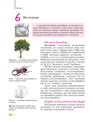 Тема 1
24
З курсу біології людини пригадайте, які речовини по-
винні надходити в її організм з їжею. Чому з їжею крім
білків до організму повинні надходити вуглеводи? Які
функції виконують вуглеводи в організмі людини? До яких
негативних наслідків може призвести їх нестача?
6 Вуглеводи
Що таке вуглеводи
Вуглеводи є складними органічними
сполуками, до складу молекул яких вхо-
дять кілька груп: гідроксильна (–OH), кар-
боксильна група (–COOH) або карбонільна
(–COH). Загальна формула вуглеводів —
Cn
(H2
O)m
, де n і m є натуральними числами.
Найбільш поширеними вуглеводами є глю-
коза (C6
H12
O6
), сахароза (C12
H24
O12
), лактоза
(C12
H22
O11
), целюлоза, хітин, крохмаль.
Значна частина вуглеводів є біополіме-
рами (крохмаль, целюлоза, глікоген). Такі
біополімери називають полісахаридами.
Їхніми мономерами є молекули невеликих
вуглеводів (наприклад, глюкоза), які на-
зивають моносахаридами. Такі вуглеводи
містять невелику кількість атомів Карбону
(від 3 до 7 атомів у молекулі).
Часто живі організми використовують
у  своїй життєдіяльності молекули вуглево-
дів, які складаються з двох моносахаридів
(наприклад, сахароза, що нам добре відома
як звичайний цукор). Такі сполуки назива-
ють дисахаридами.
Будова та властивості вуглеводів
Розглянемо особливості будови молекул
вуглеводів та їхні характерні властивості
на  прикладі конкретних сполук.
Целюлоза — вуглевод, який утворює
клітинні стінки в клітинах рослин
Хітин — вуглевод, який утворює зо-
внішні покриви комах
Лактоза — вуглевод, який міститься
в молоці
Мал. 6.1. Вуглеводи в живих орга-
нізмах та продуктах їхньої життєді-
яльності
 