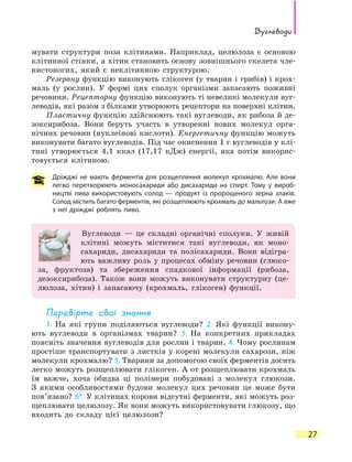 Вуглеводи
27
мувати структури поза клітинами. Наприклад, целюлоза є основою
клітинної стінки, а хітин становить основу зовнішнього скелета чле-
нистоногих, який є неклітинною структурою.
Резервну функцію виконують глікоген (у тварин і грибів) і крох-
маль (у рослин). У формі цих сполук організми запасають поживні
речовини. Рецепторну функцію виконують ті невеликі молекули вуг-
леводів, які разом з білками утворюють рецептори на поверхні клітин.
Пластичну функцію здійснюють такі вуглеводи, як рибоза й де-
зоксирибоза. Вони беруть участь в утворенні нових молекул орга-
нічних речовин (нуклеїнові кислоти). Енергетичну функцію можуть
виконувати багато вуглеводів. Під час окиснення 1 г вуглеводів у клі-
тині утворюється 4,1 ккал (17,17 кДж) енергії, яка потім викорис-
товується клітиною.
Дріжджі не мають ферментів для розщеплення молекул крохмалю. Але вони
легко перетворюють моносахариди або дисахариди на спирт. Тому у вироб-
ництві пива використовують солод — продукт із пророщеного зерна злаків.
Солод містить багато ферментів, які розщеплюють крохмаль до мальтози. А вже
з неї дріжджі роблять пиво.
Вуглеводи — це складні органічні сполуки. У живій
клітині можуть міститися такі вуглеводи, як моно-
сахариди, дисахариди та полісахариди. Вони відігра-
ють важливу роль у процесах обміну речовин (глюко-
за, фруктоза) та збереження спадкової інформації (рибоза,
дезоксирибоза). Також вони можуть виконувати структурну (це-
люлоза, хітин) і запасаючу (крохмаль, глікоген) функції.
Перевірте свої знання
1. На які групи поділяються вуглеводи? 2. Які функції викону-
ють вуглеводи в організмах тварин? 3. На конкретних прикладах
поясніть значення вуглеводів для рослин і тварин. 4. Чому рослинам
простіше транспортувати з листків у корені молекули сахарози, ніж
молекули крохмалю? 5. Тварини за допомогою своїх ферментів досить
легко можуть розщеплювати глікоген. А от розщеплювати крохмаль
їм важче, хоча обидва ці полімери побудовані з молекул глюкози.
З якими особливостями будови молекул цих речовин це може бути
пов’язано? 6*. У клітинах корови відсутні ферменти, які можуть роз-
щеплювати целюлозу. Як вони можуть використовувати глюкозу, що
входить до складу цієї целюлози?
 