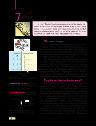 Тема 1
28
З курсу біології людини пригадайте, які речовини по-
винні надходити в її організм з їжею. Чому з їжею крім
білків і вуглеводів до організму повинні надходити ліпіди?
Які функції виконують ліпіди в організмі людини? До яких
негативних наслідків може призвести їх нестача?
7 Ліпіди
Що таке ліпіди
Ліпіди є групою речовин, які об’єднали,
в першу чергу, не за хімічною будовою, а за
фізичними властивостями. Вони всі є нероз-
чинними у воді маслянистими або жирними
речовинами. Найбільш поширеними ліпідами
є жири, олії, воски та стероїди.
Термін «жири» не є синонімом терміна
«ліпіди». Так називають тільки частину ре-
човин з цієї групи. Зазвичай термін «жири»
застосовують щодо ліпідів тваринного похо-
дження, які за кімнатної температури зали-
шаються твердими. Терміном «олії» назива-
ють ліпіди рослинного походження, які за
кімнатної температури залишаються рідкими.
Будова та властивості ліпідів
Складовою багатьох ліпідів є багато-
атомний спирт гліцерол (C3
H5
(OH)3
) і жирні
кислоти (мал. 7.1). Жирні кислоти — це ор-
ганічні речовини, молекули яких є довгими
ланцюжками атомів Карбону (містять від 4 до
24 атомів), сполученими з атомами Гідрогену
та з приєднаною до цього ланцюжка карбок-
сильною групою (–COOH). Саме карбоксильна
група й забезпечує їхні кислотні властивості.
Жирні кислоти бувають насиченими (без
подвійних зв’язків між атомами Карбону)
і  ненасиченими (з подвійними зв’язками
між атомами Карбону) (мал. 7.2). Наявність
Мал. 7.1. Будова молекули ліпіду
Мал. 7.2. Приклади насиченої
й ненасиченої жирних кислот
Гліцерол Жирні кислоти
Ланцюжки атомів
Карбону
Стеаринова кислота (насичена)
Тверда за кімнатної температури
Олеїнова кислота (ненасичена)
Рідка за кімнатної температури
Одинарні
зв’язкиПодвійний
зв’язок
 