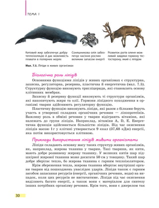 Тема 1
30
Біологічна роль ліпідів
Основними функціями ліпідів у живих організмах є структурна,
захисна, регуляторна, резервна, пластична й енергетична (мал. 7.5).
Структурну функцію виконують тригліцериди, які становлять основу
клітинних мембран.
Захисну й резервну функції виконують ті структури організмів,
які накопичують жири та олії. Гормони ліпідного походження в ор-
ганізмі тварин здійснюють регуляторну функцію.
Пластичну функцію виконують ліпіди, які разом з білками беруть
участь в утворенні складних органічних речовин — ліпопротеїнів.
Важливу роль в обміні речовин у тварин відіграють вітаміни, які
належать до групи ліпідів. Наприклад, вітаміни A, D, E. Енерге-
тична функція здійснюється більшістю ліпідів. Під час окиснення
ліпідів масою 1 г у клітині утворюється 9 ккал (37,68 кДж) енергії,
яка потім використовується клітиною.
Приклади використання ліпідів живими організмами
Ліпіди складають основну масу таких структур живих організмів,
як, наприклад, жирова тканина у тварин. Такі тварини, як кити,
мають добре розвинену жирову тканину. У великих китів шар під-
шкірної жирової тканини може досягати 50 см у товщину. Такий шар
добре зберігає тепло, бо жирова тканина є гарним теплоізолятором.
Крім збереження тепла, жирова тканина вберігає внутрішні орга-
ни тварин від пошкоджень унаслідок ударів. Ліпіди також є гарним
засобом запасання ресурсів (енергії, органічних речовин, води) на ви-
падок, коли цих ресурсів не вистачатиме. Ліпіди під час окиснення
виділяють багато енергії, а також вони є матеріалом для синтезу
інших потрібних організму речовин. Крім того, вони є джерелом так
Мал. 7.5. Ліпіди в живих організмах
Китовий жир забезпечує добру
теплоізоляцію й дає можливість
плавати в полярних морях
Соняшникова олія забез­
печує насіння рослин
великим запасом енергії
Розвиток рогів оленя мож-
ливий завдяки гормону тес-
тостерону, який є ліпідом
 