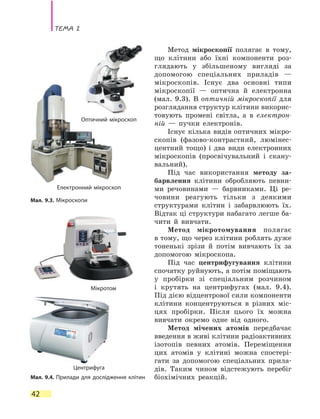 Тема 2
42
Метод мікроскопії полягає в тому,
що клітини або їхні компоненти роз-
глядають у збільшеному вигляді за
допомогою спеціальних приладів —
мікроскопів. Існує два основні типи
мікроскопії  — оптична й електронна
(мал. 9.3). В оптичній мікроскопії для
розглядання структур клітини викорис-
товують промені світла, а в електрон­
ній — пучки електронів.
Існує кілька видів оптичних мікро-
скопів (фазово-контрастний, люмінес-
центний тощо) і два види електронних
мікроскопів (просвічувальний і скану-
вальний).
Під час використання методу за-
барвлення клітини обробляють певни-
ми речовинами — барвниками. Ці  ре-
човини реагують тільки з деякими
структурами клітин і забарвлюють їх.
Відтак ці структури набагато легше ба-
чити й вивчати.
Метод мікротомування полягає
в тому, що через клітини роблять дуже
тоненькі зрізи й потім вивчають їх за
допомогою мікроскопа.
Під час центрифугування клітини
спочатку руйнують, а потім поміщають
у пробірки зі спеціальним розчином
і  крутять на центрифугах (мал. 9.4).
Під дією відцентрової сили компоненти
клітини концентруються в різних міс-
цях пробірки. Після цього їх можна
вивчати окремо одне від одного.
Метод мічених атомів передбачає
введення в живі клітини радіоактивних
ізотопів певних атомів. Переміщення
цих атомів у клітині можна спостері-
гати за допомогою спеціальних прила-
дів. Таким чином відстежують перебіг
біохімічних реакцій.Мал. 9.4. Прилади для дослідження клітин
Центрифуга
Електронний мікроскоп
Мал. 9.3. Мікроскопи
Оптичний мікроскоп
Мікротом
 