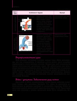 Тема 2
50
Орга-
нела
Особливості будови Функції
Бактеріальніджгутики
Наявні в клітинах про-
каріотичних організмів.
Вони являють собою
просту нитку, утворену
з молекул білка. Вона
закріплена на поверхні
клітини спеціальним
складним білковим комп-
лексом, який забезпечує
її обертання
Забезпечують рух про-
каріотичних клітин
Джгутикийвійки
еукаріотичнихклітин
Наявні в клітинах еука­
ріотичних організмів.
Являють собою порож-
нисті трубочки, вздовж
внутрішньої поверх-
ні яких розташовано
дев’ять пар мікротру-
бочок. І ще дві мікро-
трубочки є  в  середній
частині. Ззовні вкриті
цитоплазматичною мемб-
раною
Забезпечують рух
еука­ріотичних клітин
Внутрішньоклітинні рухи
Між різними частинами клітини завжди існує обмін речовина-
ми, які там утворюються, й органели клітин досить часто потрібно
переміщувати в інші частини клітини. Наприклад, щоб хлоропласти
краще освітлювалися променями сонця. Це забезпечують два меха-
нізми внутрішньоклітинних рухів. Перший здійснюється за рахунок
змін щільності цитозолю й перетікання більш рідкої речовини в по-
трібне місце. Другий відбувається шляхом перетягування органел
або пухирців з потрібними речовинами вздовж мікротрубочок спе-
ціальними білками.
Війки і джгутики. Забезпечення руху клітин
Джгутики й війки еукаріотичних клітин мають набагато склад-
нішу будову, ніж джгутики бактерій. Рух війок та джгутиків за-
безпечується за рахунок взаємодії їх внутрішніх структур. Війки та
джгутики можуть мати різний характер руху (мал. 11.2). Траєкторія
руху цих структур у різних організмів може бути, наприклад, ма­
Поверхня клітини
Плазма-
тична
мембрана
Парні
трубочки
Молекулярний мотор
Нитка джгутика
Клітинна
мембрана
Закінчення таблиці
 