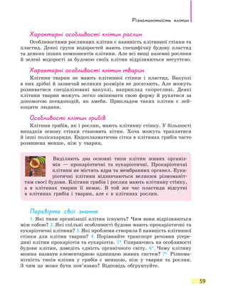Різноманітність клітин
59
Характерні особливості клітин рослин
Особливостями рослинних клітин є наявність клітинної стінки та
пластид. Деякі групи водоростей мають специфічну будову пластид
та деяких інших компонентів клітини. Але всі вищі наземні рослини
й зелені водорості за будовою своїх клітин відрізняються несуттєво.
Характерні особливості клітин тварин
Клітини тварин не мають клітинної стінки і пластид. Вакуолі
в них дрібні й зазвичай великих розмірів не досягають. Але можуть
розвиватися спеціалізовані вакуолі, наприклад скоротливі. Деякі
клітини тварин можуть легко змінювати свою форму й рухатися за
допомогою псевдоподій, як амеби. Прикладом таких клітин є лей-
коцити людини.
Особливості клітин грибів
Клітини грибів, як і рослин, мають клітинну стінку. У більшості
випадків основу стінки становить хітин. Хоча можуть траплятися
й інші полісахариди. Ендоплазматична сітка в клітинах грибів часто
розвинена менше, ніж у тварин.
Виділяють два основні типи клітин живих організ-
мів  — прокаріотичні та еукаріотичні. Прокаріотичні
клітини не містять ядра та мембранних органел. Еука­
ріотичні клітини відзначаються великим різноманіт-
тям своєї будови. Клітини грибів і рослин мають клітинну стінку,
а  в клітинах тварин її немає. В той же час пластиди відсутні
в  клітинах грибів і тварин, але є в клітинах рослин.
Перевірте свої знання
1. Які типи організації клітин існують? Чим вони відрізняються
між собою? 2. Які спільні особливості будови мають прокаріотичні та
еукаріотичні клітини? 3. Які проблеми створила б наявність клітинної
стінки для клітин тварин? 4. Порівняйте транспорт речовин усере­
дині клітин прокаріотів та еукаріотів. 5*. Спираючись на особливості
будови клітин, доведіть єдність органічного світу. 6*. Чому клітину
можна назвати елементарною одиницею живих систем? 7*.  Різнома-
нітність типів клітин у грибів є меншою, ніж у тварин та рослин.
З  чим це може бути пов’язано? Відповідь обґрунтуйте.
 