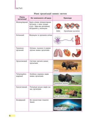 Вступ
6
Рівні організації живих систем
Рівень
організації
Які компоненти об’єднує Приклади
Молекулярний Групи атомів (елементарних
частинок, з яких склада-
ється будь-яка речовина),
об’єднаних у молекули
Клітинний Молекули та органели клітин
Тканинно-
органний
Клітини, тканини й окремі
органи живих організмів
Організмовий Системи органів живих
організмів
Популяційно-
видовий
Особини окремих видів
живих організмів
Екосистемний Популяції різних видів жи-
вих організмів
Біосферний Всі екосистеми планети
Земля
Нуклеїнова кислотаВода
Бізон
Популяція бізонів
Парк Асканія-Нова
Біосфера Землі
 