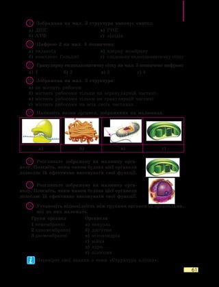 61
9	 Зображена на мал. 3 структура виконує синтез:
а)	 ДНК	 в)	 РНК
б)	 АТФ	 г)	 ліпідів
10	 Цифрою 2 на мал. 3 позначено:
а)	 тилакоїд	 в)	 ядерну мембрану
б)	 комплекс Гольджі	 г)	 гладеньку ендоплазматичну сітку
11	 Гранулярну ендоплазматичну сітку на мал. 3 позначено цифрою:
а)	 1	 б)	2	 в)	3	 г)	4
12	 Зображена на мал. 3 структура:
а)	 не містить рибосом
б)	 містить рибосоми тільки на агранулярній частині
в)	 містить рибосоми тільки на гранулярній частині
г)	 містить рибосоми на всіх своїх частинах
13	 Напишіть назви органел, зображених на малюнках.
а) б) в) г)
14	 Розгляньте зображену на малюнку орга-
нелу. Поясніть, яким чином будова цієї органели
дозволяє їй ефективно виконувати свої функції.
15	 Розгляньте зображену на малюнку орга-
нелу. Поясніть, яким чином будова цієї органели
дозволяє їй ефективно виконувати свої функції.
16	Установіть відповідність між групами органел та органелами,
які до них належать.
Групи органел Органели
1	немембранні
2	одномембранні
3	двомембранні
а)	 вакуоль
б)	 джгутик
в)	 мітохондрія
г)	 війка
д)	 ядро
е)	 лізосома
Перевірте свої знання з теми «Структура клітин».
 