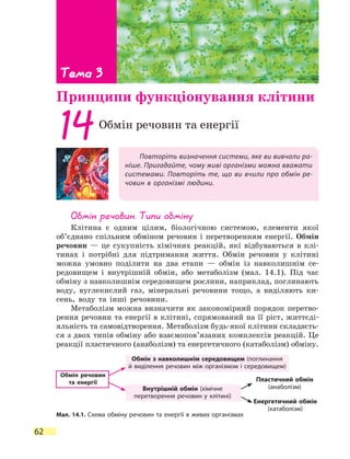 62
Повторіть визначення системи, яке ви вивчали ра-
ніше. Пригадайте, чому живі організми можна вважати
системами. Повторіть те, що ви вчили про обмін ре-
човин в організмі людини.
14Обмін речовин та енергії
Обмін речовин. Типи обміну
Клітина є одним цілим, біологічною системою, елементи якої
об’єднано спільним обміном речовин і перетворенням енергії. Обмін
речовин — це сукупність хімічних реакцій, які відбуваються в клі-
тинах і потрібні для підтримання життя. Обмін речовин у клітині
можна умовно поділити на два етапи — обмін із навколишнім се-
редовищем і внутрішній обмін, або метаболізм (мал. 14.1). Під час
обміну з навколишнім середовищем рослини, наприклад, поглинають
воду, вуглекислий газ, мінеральні речовини тощо, а виділяють ки-
сень, воду та інші речовини.
Метаболізм можна визначити як закономірний порядок перетво-
рення речовин та енергії в клітині, спрямований на її ріст, життєді-
яльність та самовідтворення. Метаболізм будь-якої клітини складаєть-
ся з двох типів обміну або взаємопов’язаних комплексів реакцій. Це
реакції пластичного (анаболізм) та енергетичного (катаболізм) обміну.
Тема 3
Принципи функціонування клітини
Мал. 14.1. Схема обміну речовин та енергії в живих організмах
Обмін речовин
та енергії
Обмін з навколишнім середовищем (поглинання
й виділення речовин між організмом і середовищем)
Внутрішній обмін (хімічне
перетворення речовин у клітині)
Пластичний обмін
(анаболізм)
Енергетичний обмін
(катаболізм)
 